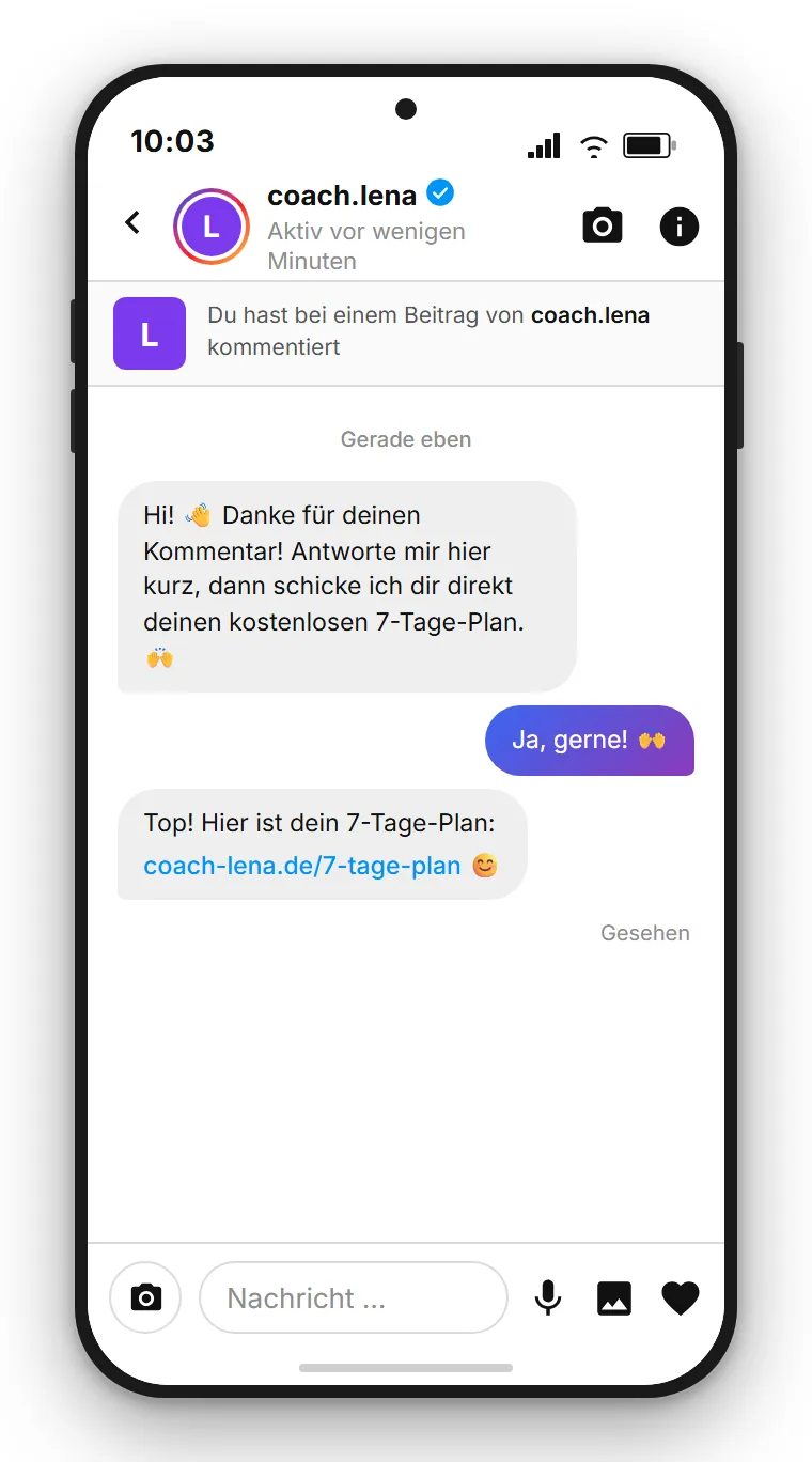SendSeven: Instagram-DM eines Coaches, der nach dem Kommentar PLAN einen persönlichen Download-Link zum kostenlosen 7-Tage-Plan sendet
